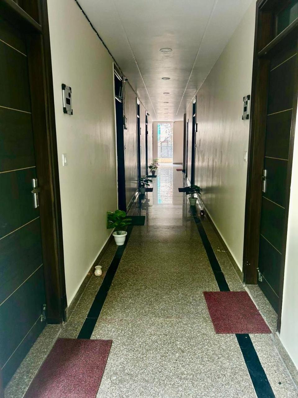 Apartment The Hideaway In South Delhi New Delhi